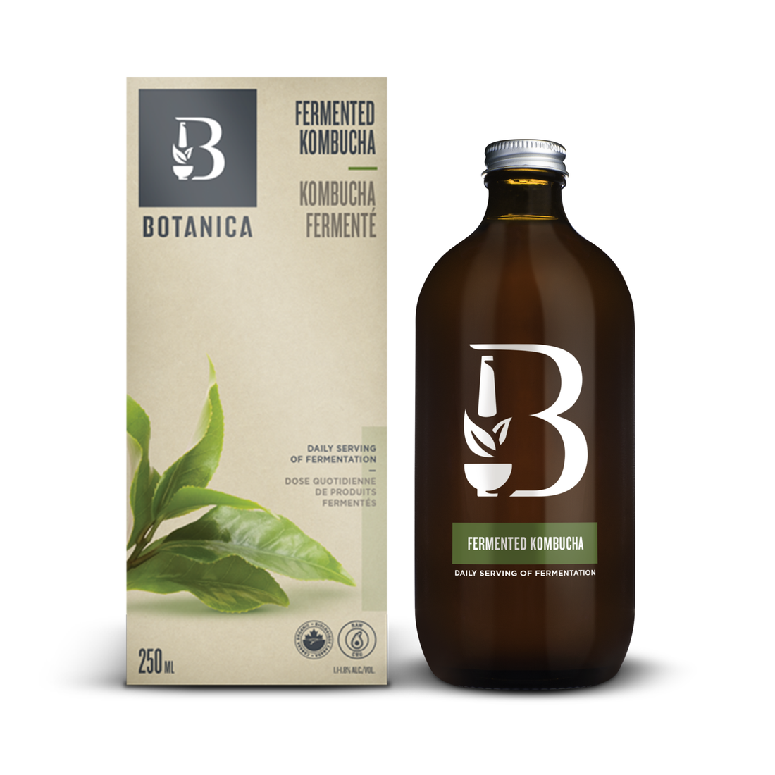 KOMBUCHA FERMENTÉ